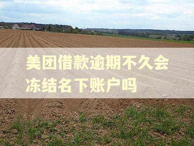 美团借款逾期不久会冻结名下账户吗