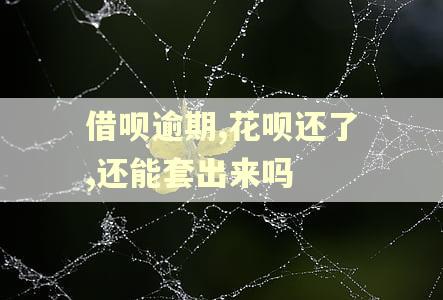 借呗逾期,花呗还了,还能套出来吗