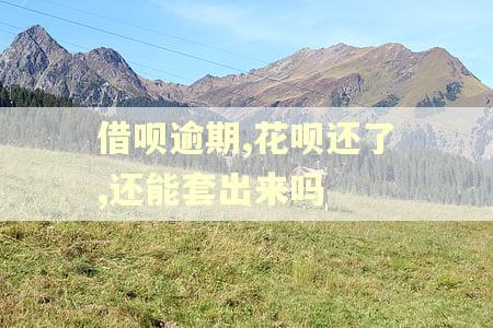 借呗逾期,花呗还了,还能套出来吗 借呗逾期,花呗还了,还能套出来吗