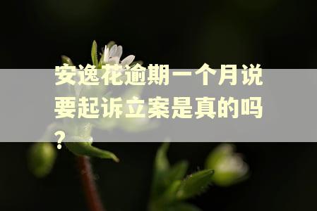 安逸花逾期一个月说要起诉立案是真的吗?
