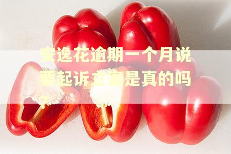 安逸花逾期一个月说要起诉立案是真的吗?