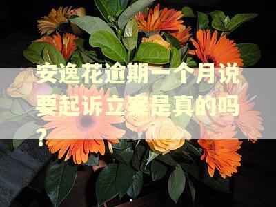 安逸花逾期一个月说要起诉立案是真的吗?