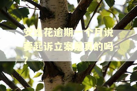 安逸花逾期一个月说要起诉立案是真的吗? 安逸花逾期一个月说要起诉立案是真的吗?