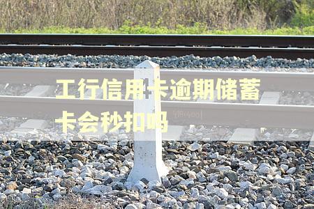工行信用卡逾期储蓄卡会秒扣吗