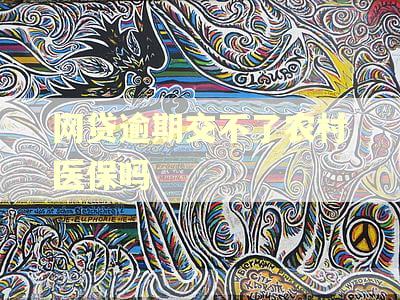 网贷逾期交不了农村医保吗