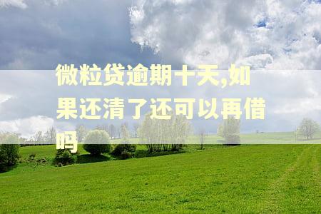 微粒贷逾期十天,如果还清了还可以再借吗