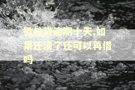 微粒贷逾期十天,如果还清了还可以再借吗