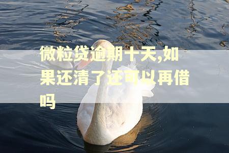 微粒贷逾期十天,如果还清了还可以再借吗