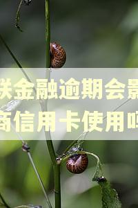 招联金融逾期会影响招商信用卡使用吗