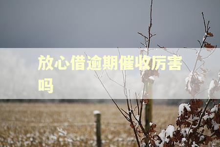 放心借逾期催收厉害吗