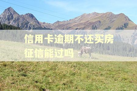 信用卡逾期不还买房征信能过吗