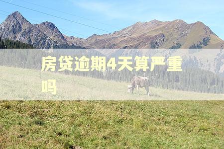房贷逾期4天算严重吗