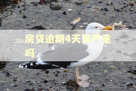 房贷逾期4天算严重吗