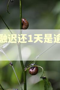 极融迟还1天是逾期吗 极融迟还1天是逾期吗