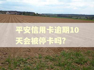 平安信用卡逾期10天会被停卡吗? 平安信用卡逾期10天会被停卡吗?