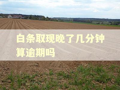 白条取现晚了几分钟算逾期吗