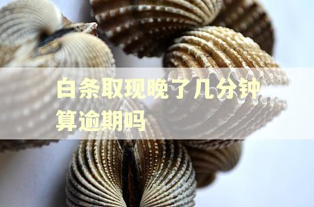 白条取现晚了几分钟算逾期吗