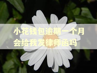小花钱包逾期一个月会给我发律师函吗