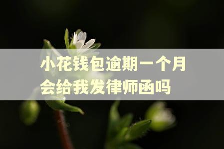 小花钱包逾期一个月会给我发律师函吗 小花钱包逾期一个月会给我发律师函吗