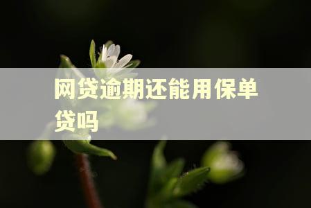 网贷逾期还能用保单贷吗