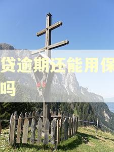 网贷逾期还能用保单贷吗 网贷逾期还能用保单贷吗
