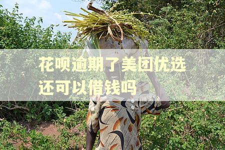 花呗逾期了美团优选还可以借钱吗