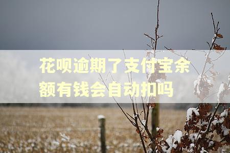 花呗逾期了支付宝余额有钱会自动扣吗