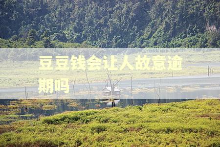 豆豆钱会让人故意逾期吗 豆豆钱会让人故意逾期吗