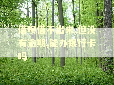 借呗借不出来,但没有逾期,能办银行卡吗