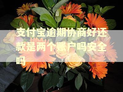 支付宝逾期协商好还款是两个账户吗安全吗