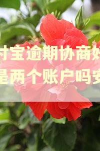支付宝逾期协商好还款是两个账户吗安全吗 支付宝逾期协商好还款是两个账户吗安全吗