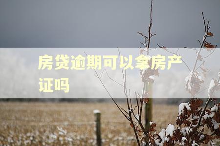 房贷逾期可以拿房产证吗