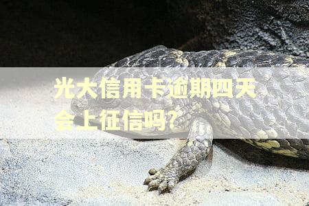 光大信用卡逾期四天会上征信吗? 光大信用卡逾期四天会上征信吗?