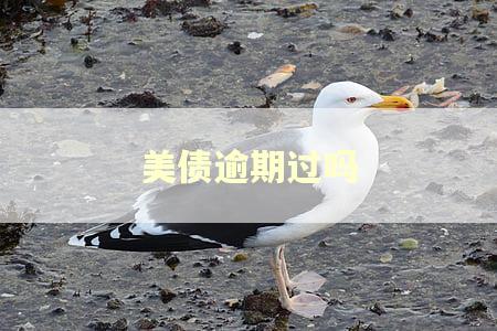 美债逾期过吗 美债逾期过吗