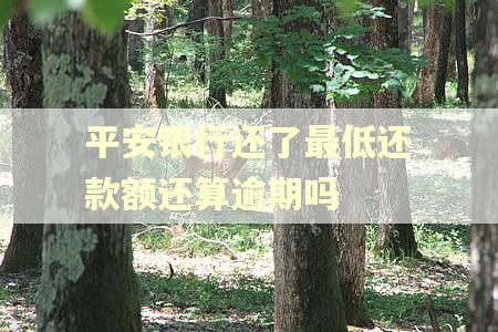 平安银行还了最低还款额还算逾期吗