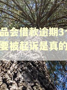 唯品会借款逾期3个月要被起诉是真的吗?