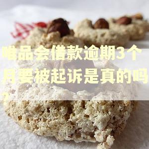 唯品会借款逾期3个月要被起诉是真的吗?