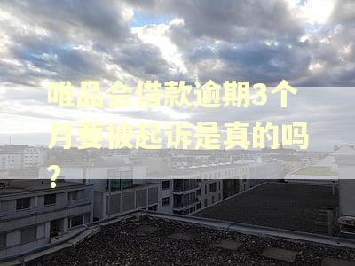 唯品会借款逾期3个月要被起诉是真的吗?