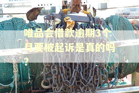 唯品会借款逾期3个月要被起诉是真的吗? 唯品会借款逾期3个月要被起诉是真的吗?