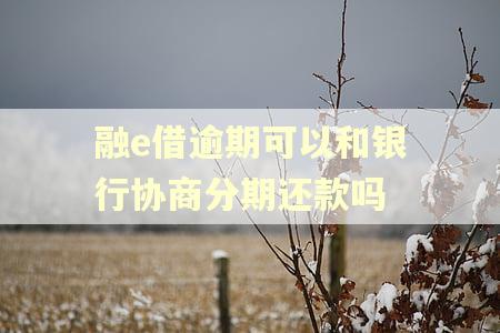 融e借逾期可以和银行协商分期还款吗