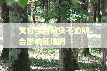 支付宝网商贷不逾期会影响征信吗