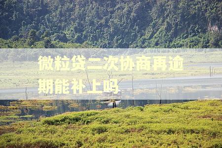微粒贷二次协商再逾期能补上吗 微粒贷二次协商再逾期能补上吗