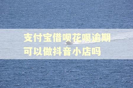 支付宝借呗花呗逾期可以做抖音小店吗