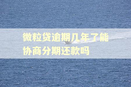 微粒贷逾期几年了能协商分期还款吗
