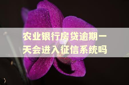 农业银行房贷逾期一天会进入征信系统吗 农业银行房贷逾期一天会进入征信系统吗