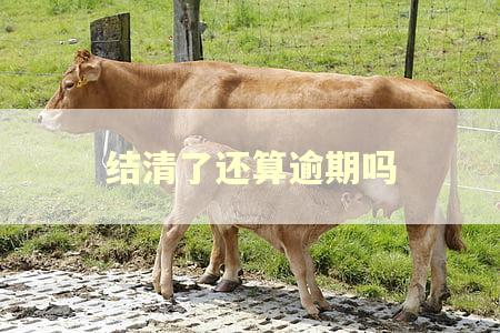 结清了还算逾期吗