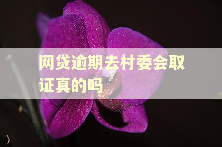 网贷逾期去村委会取证真的吗