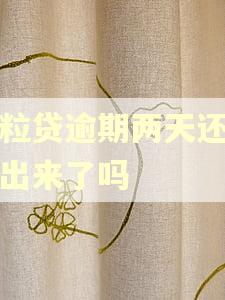 微粒贷逾期两天还能借出来了吗
