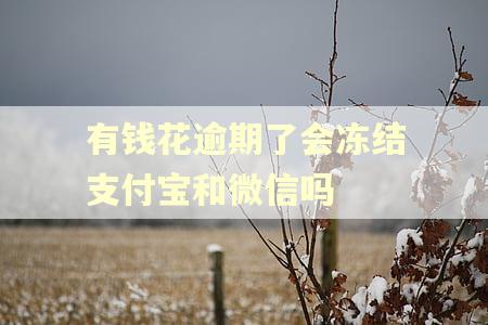 有钱花逾期了会冻结支付宝和微信吗