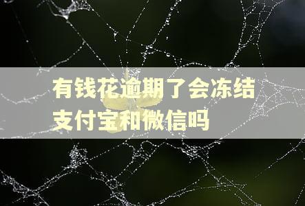 有钱花逾期了会冻结支付宝和微信吗
